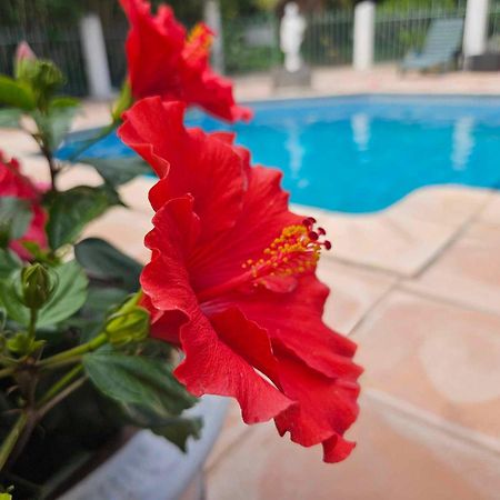 Les Jardins Du Patriarche Hotel Agde Exteriér fotografie