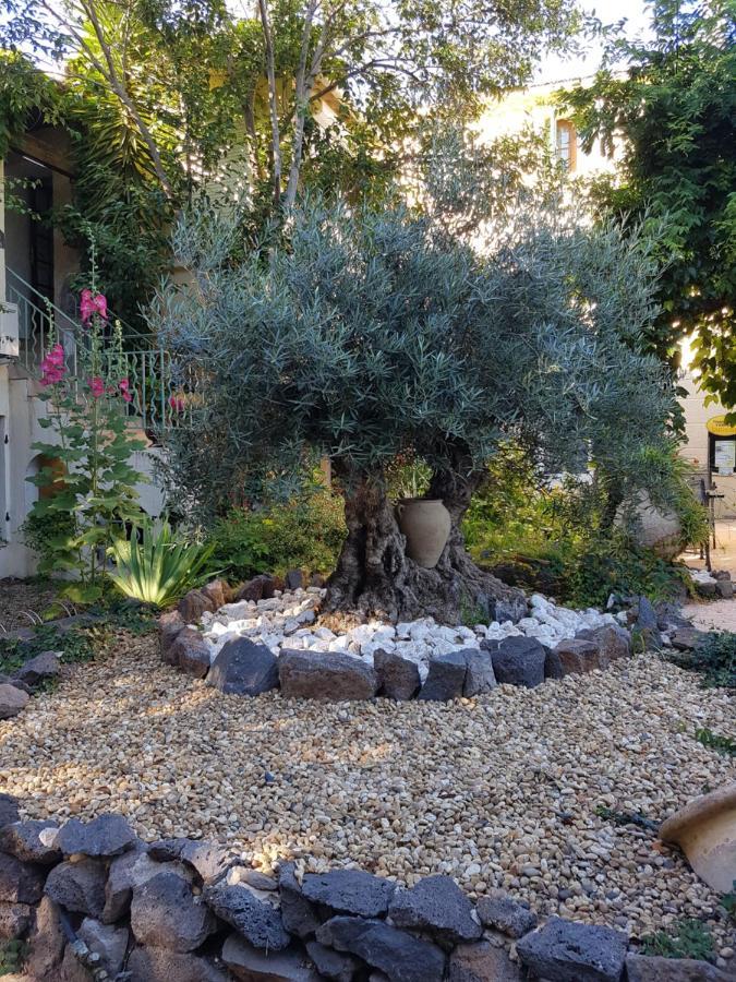 Les Jardins Du Patriarche Hotel Agde Exteriér fotografie