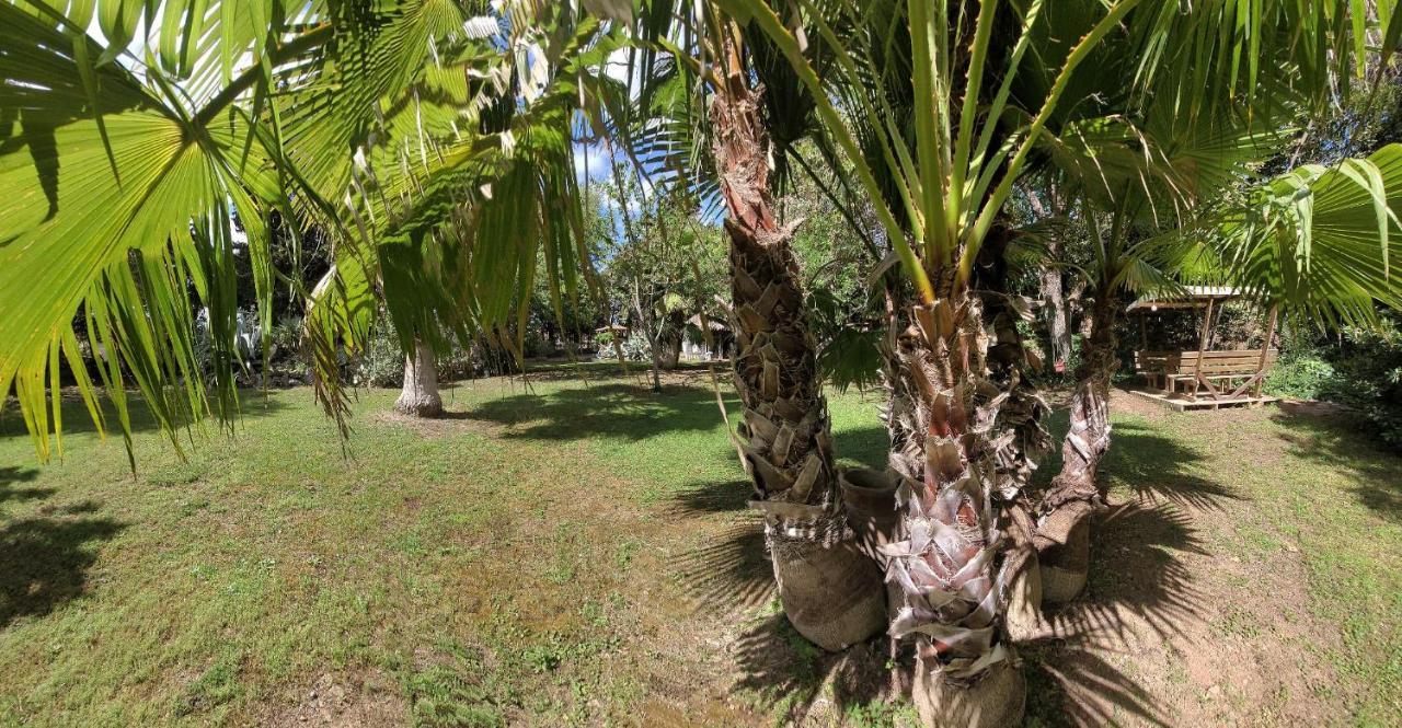 Les Jardins Du Patriarche Hotel Agde Exteriér fotografie