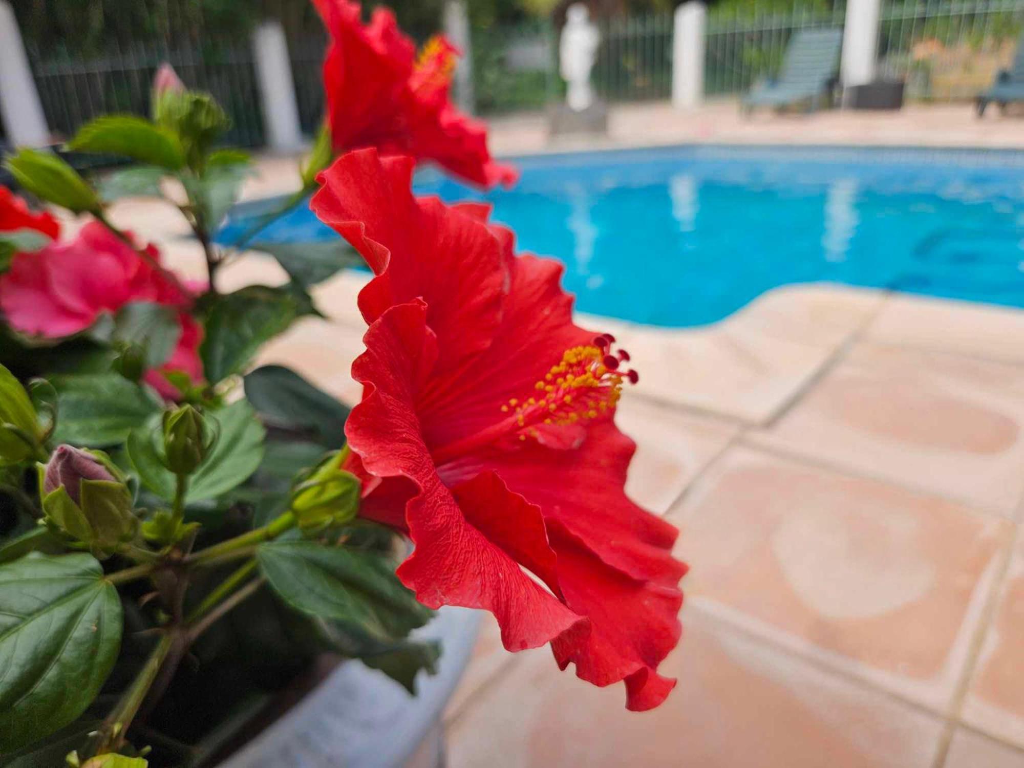 Les Jardins Du Patriarche Hotel Agde Exteriér fotografie